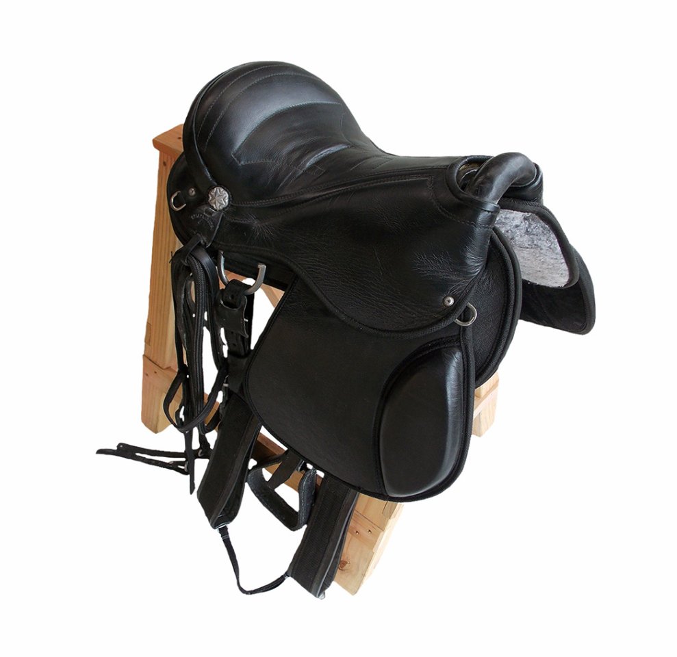 Sela Australiana San Diego