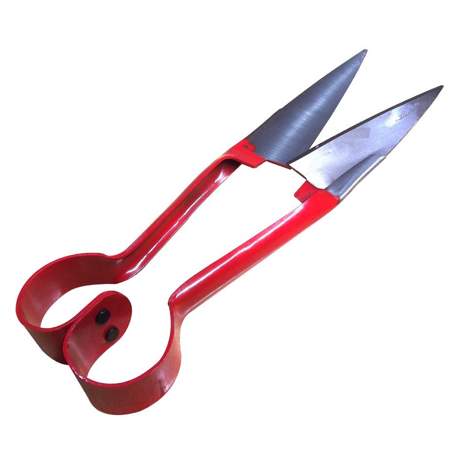 Tesoura Para Tosquia ODY