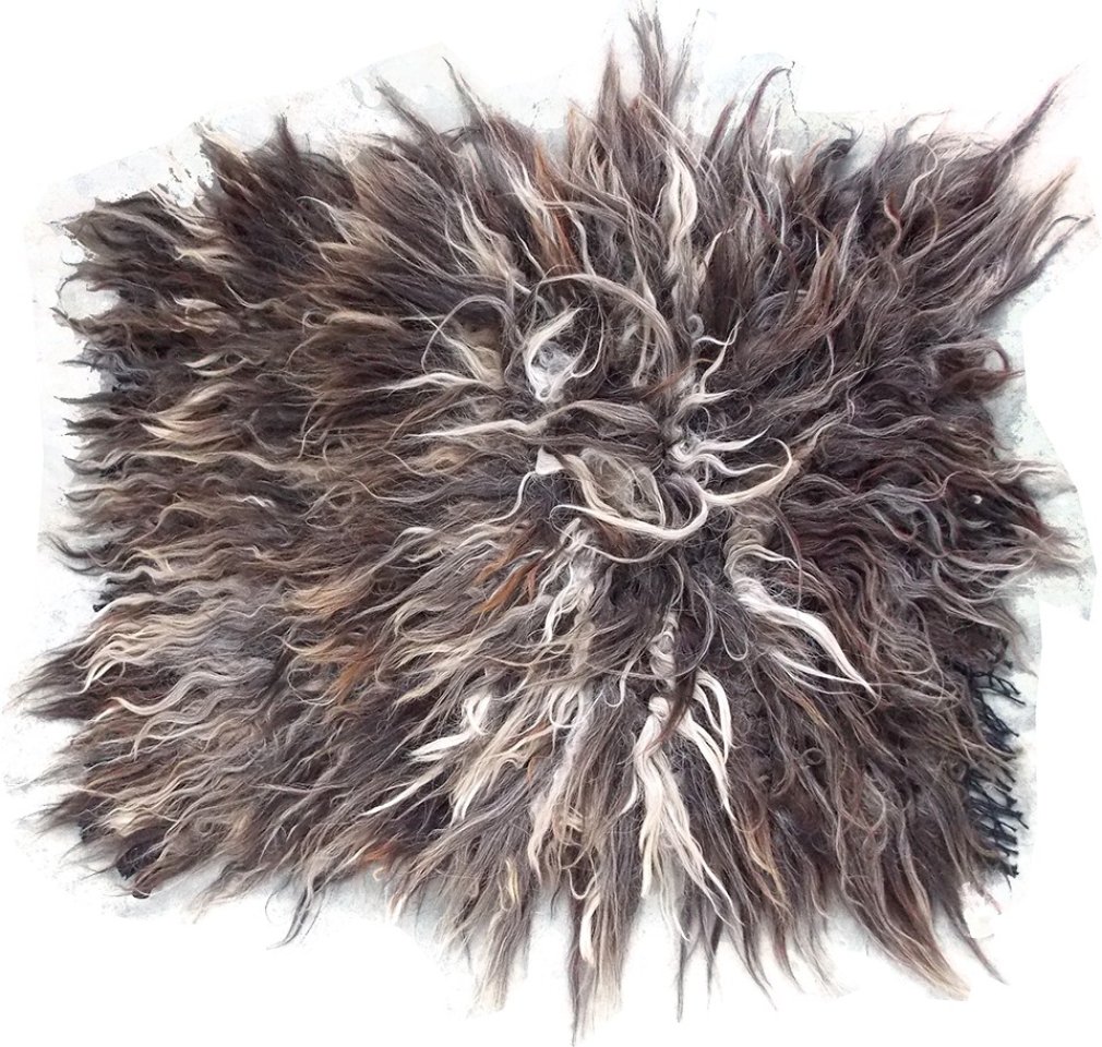 Cochonilho Moro Pardo