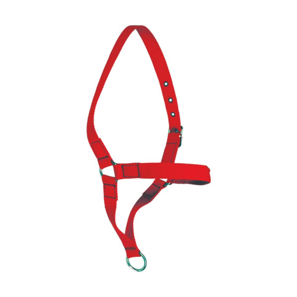 Cabresto de Cadarço Para Vaca