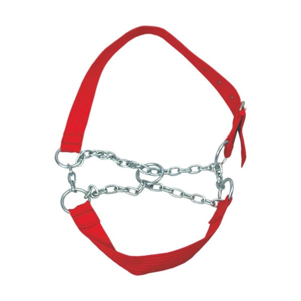 Cabresto de Cadarço Com Corrente Vaca