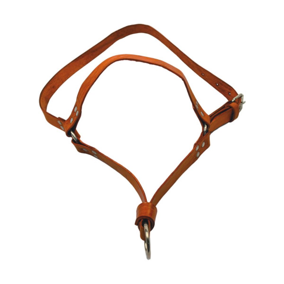 Cabresto de Couro Chato Para Bezerro