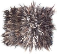 Cochonilho Moro Pardo