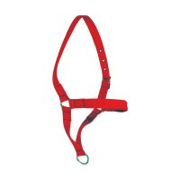 Cabresto de Cadarço Para Vaca